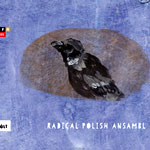 Radical Polish Ansambl - RADICAL POLISH ANSAMBL