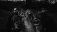 Daj Ognia - KIR
